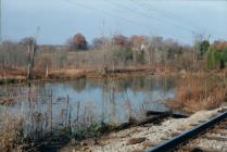 Former mill pond